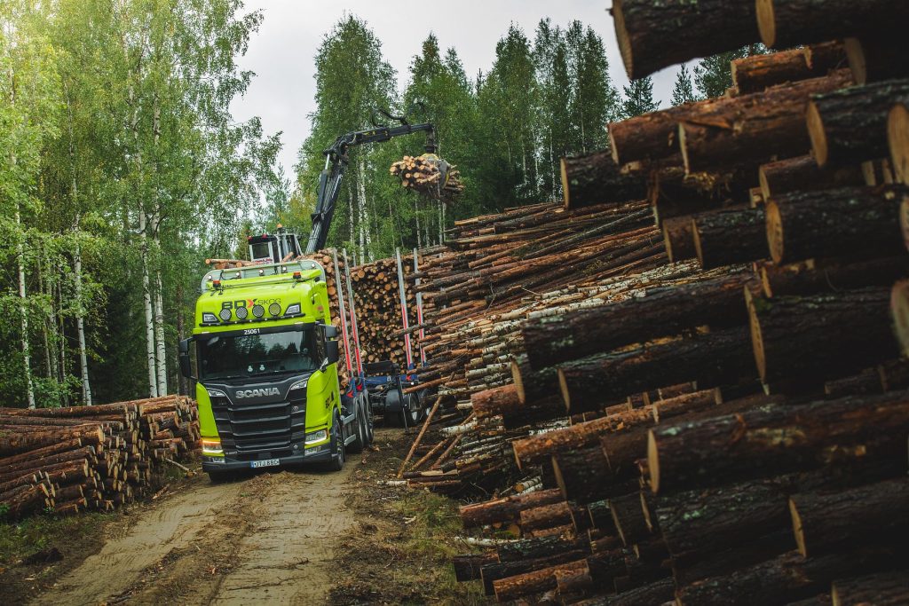 BDX Skog AB blir en del av BDX